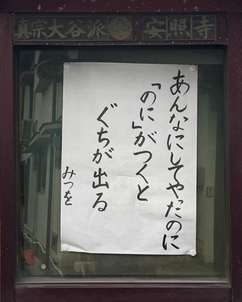 掲示板写真