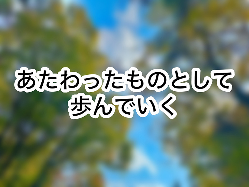 掲示板写真