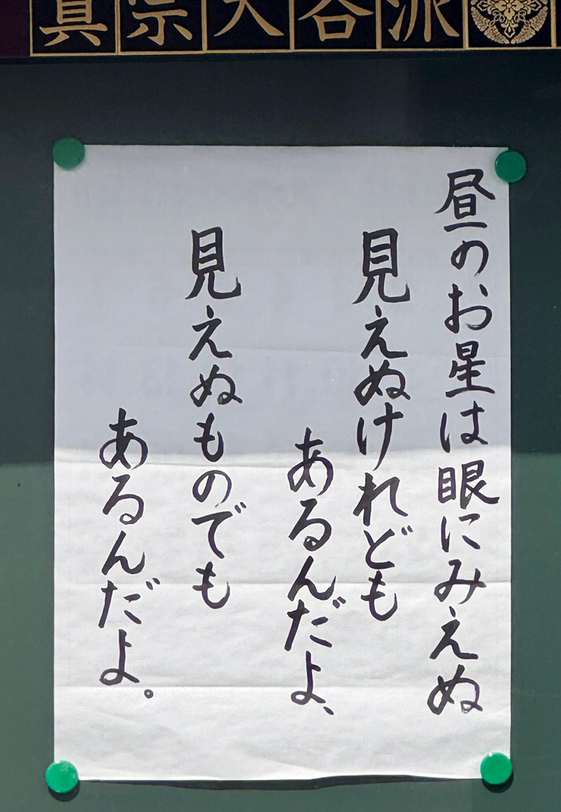 掲示板写真